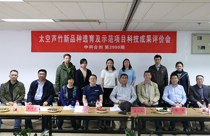 太空芦竹选育及示范 anli.jpg